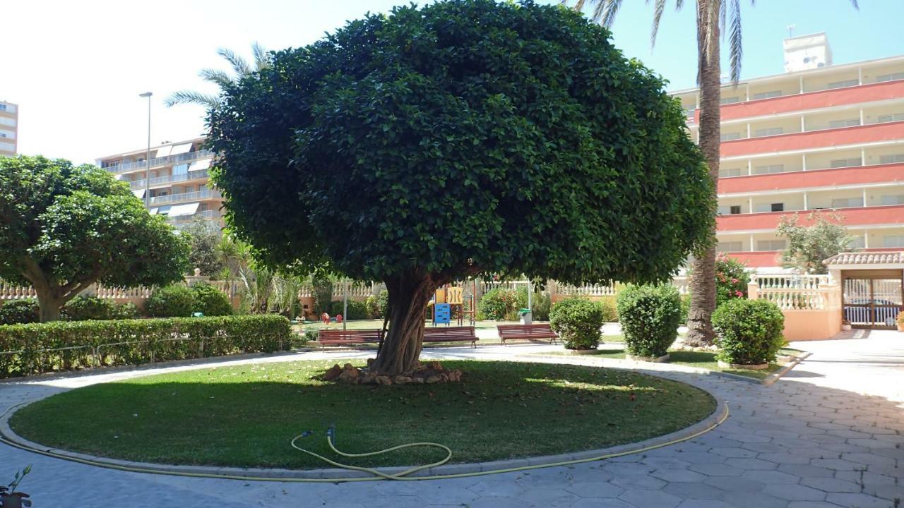 דירות אליקאנטה Tortuga Flat מראה חיצוני תמונה